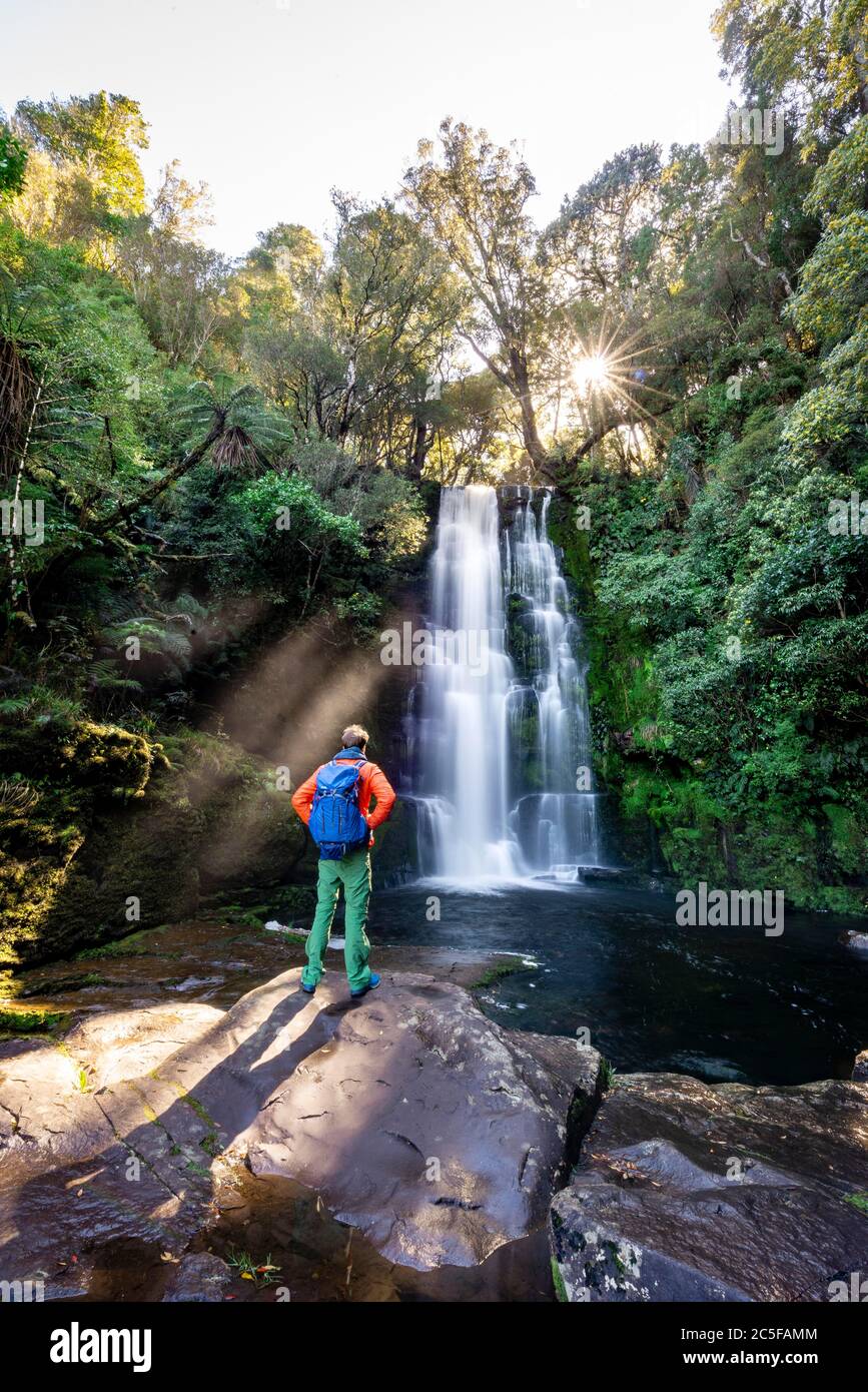 Hiker at McLean Waterfall, Sun Star, Catlins, Otago, South Island, New Zealand Stock Photo