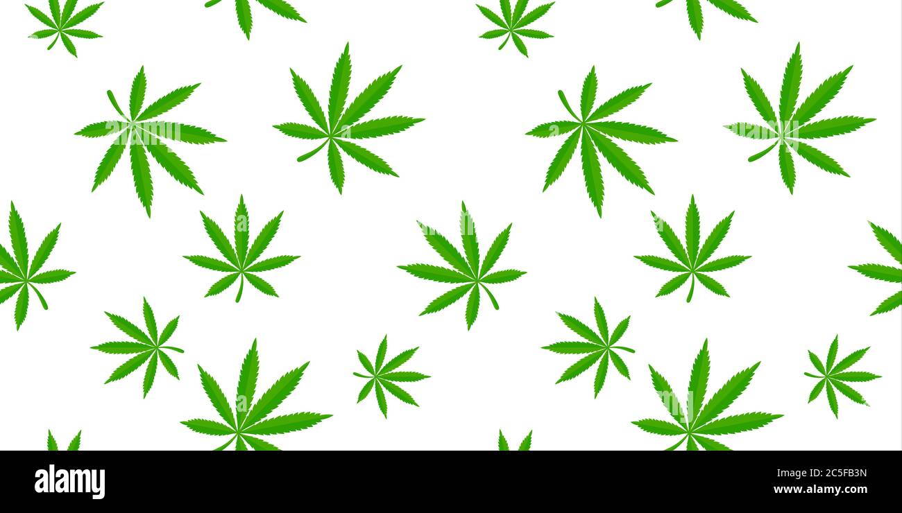 Marijuana leaves seamless pattern weed vector illustration Stock Vector  Image & Art - Alamy