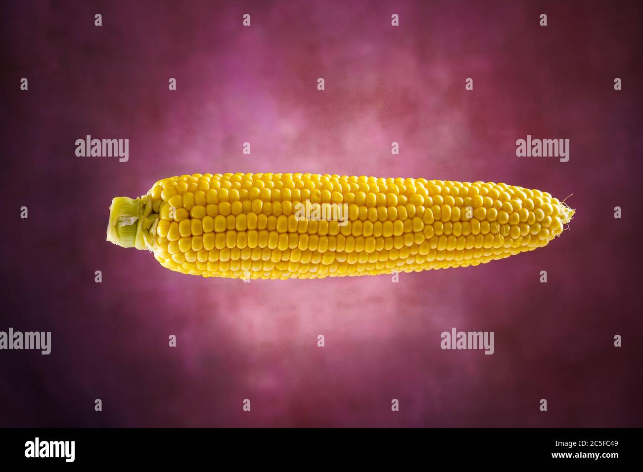 Corn isolated on retro purple background Stock Photo