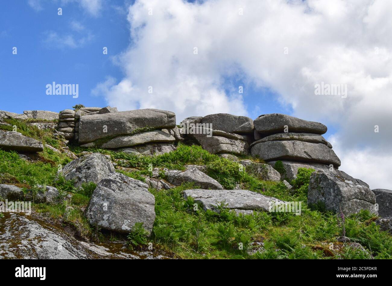 Helma hi-res stock photography and images - Page 2 - Alamy