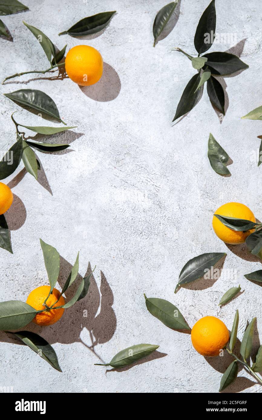 Whole oranges with orange tree leaves on white background with space