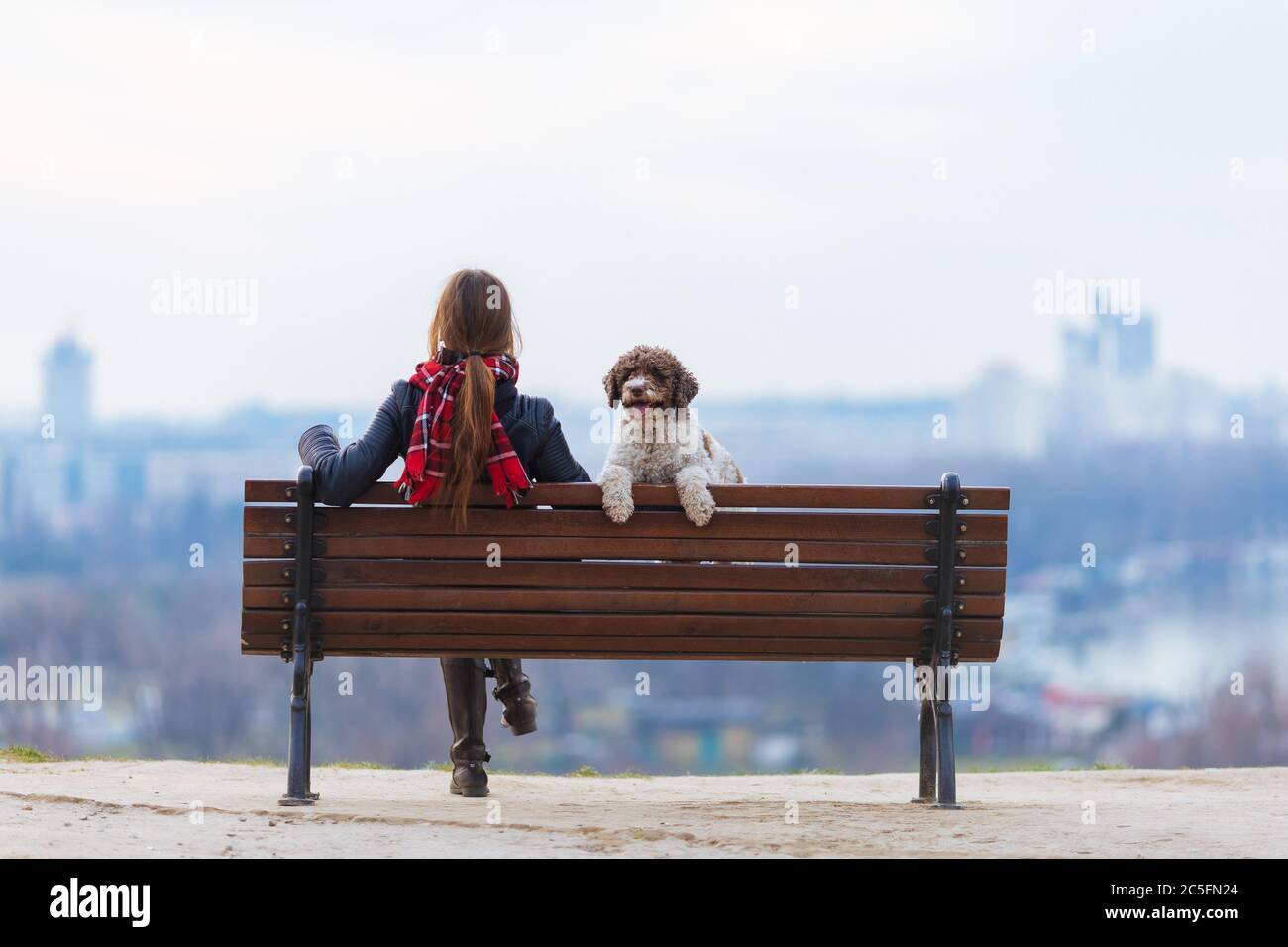 Dog owner on a park bench hi-res stock photography and images - Alamy