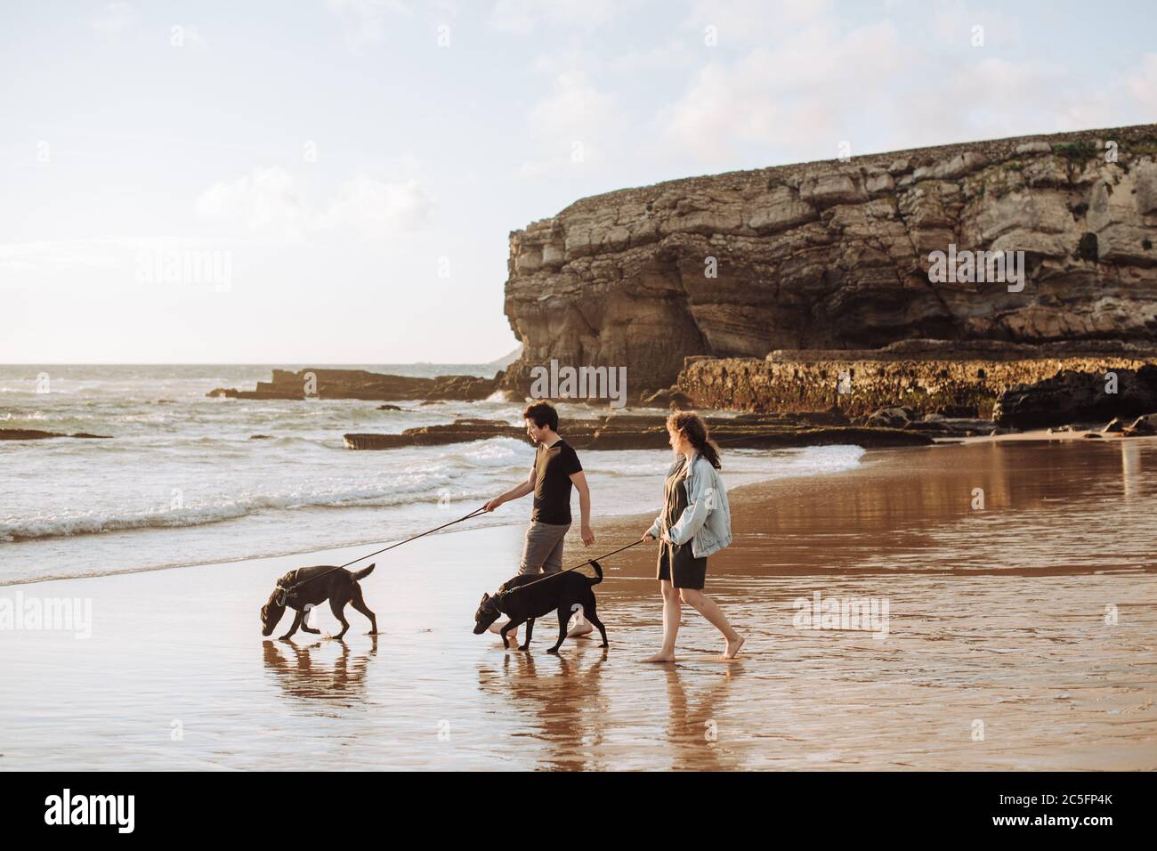 Woman walking her two dogs on beach hi-res stock photography and images ...