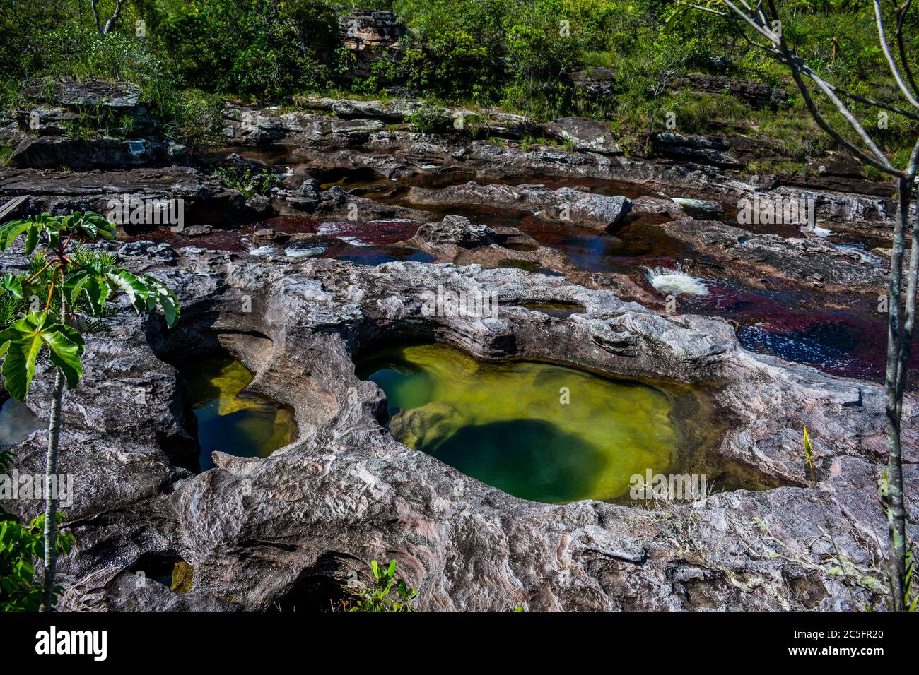 Caño Cristales - Meta Colombia. Different colors of the waters in one of the most beatiful rivers in the World. Stock Photo