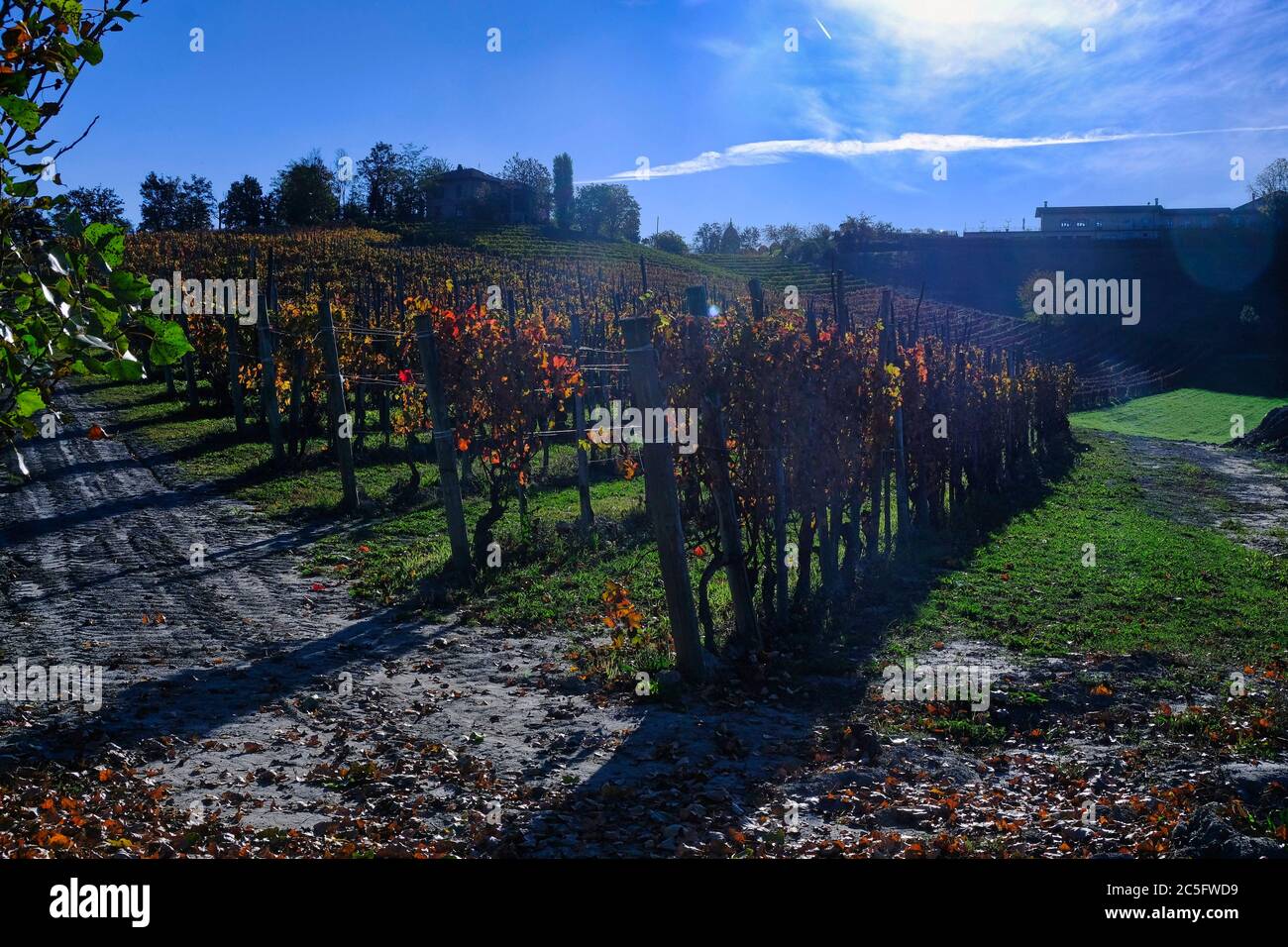 the vineyards of the Piedmontese Langhe with the beautiful colors of
