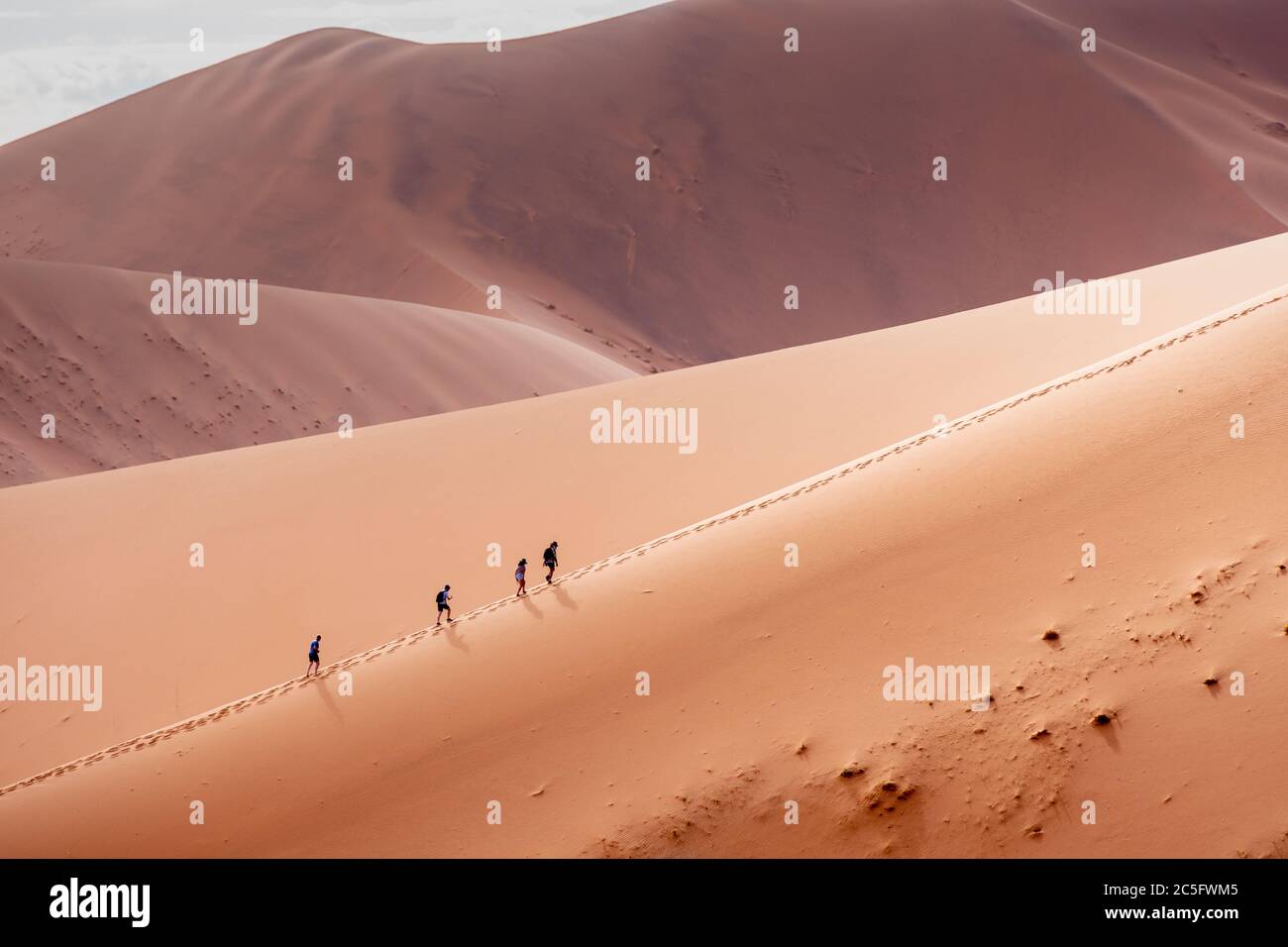 Hikers Hiking Up a Sand Dune in Sossusvlei , Namib-Naukluft National ...
