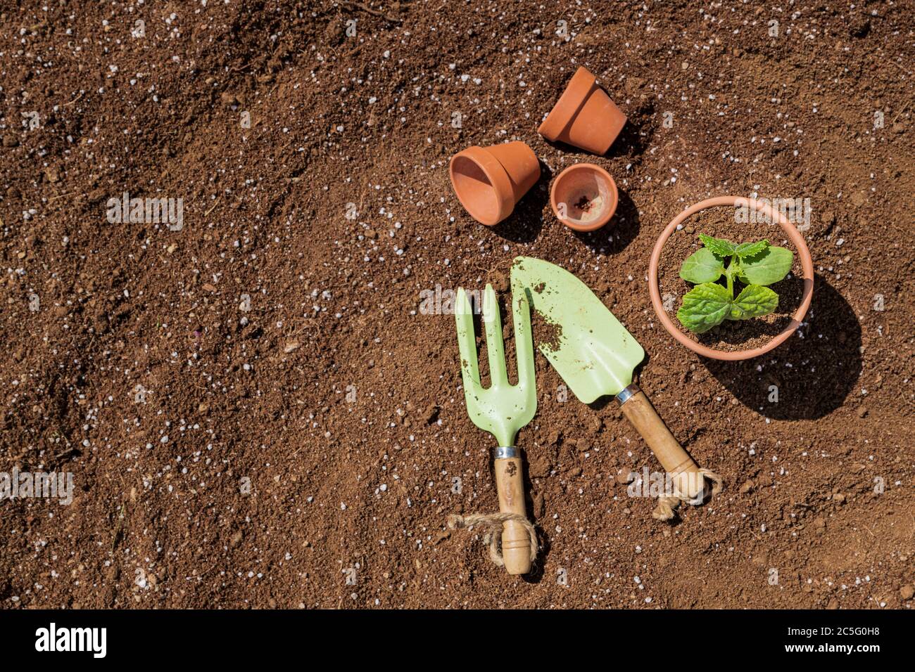 Gardening concept- gardening tools and flowers in the garden 004 Stock Photo
