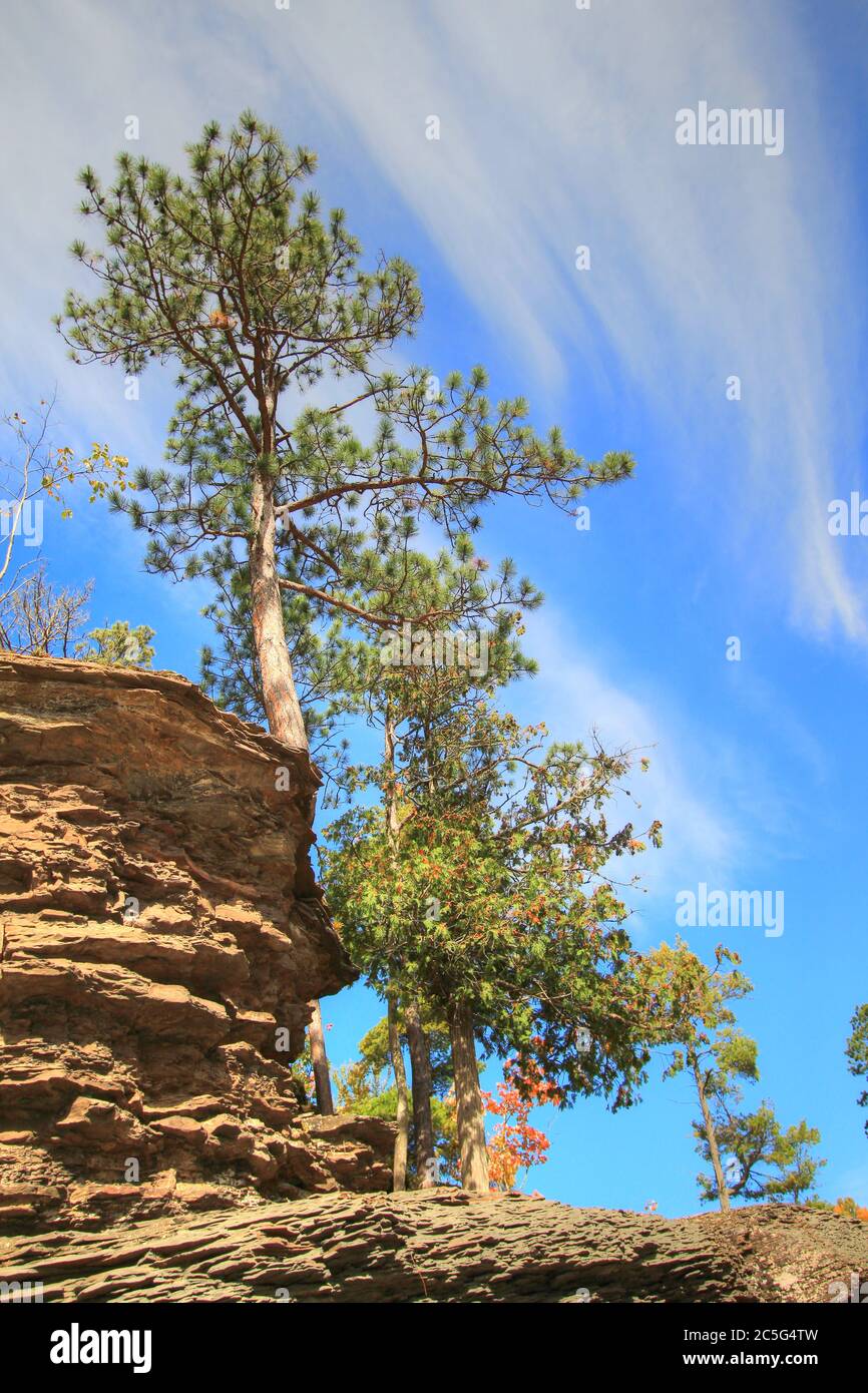 Porcupine Mountains Wilderness State Park. Pine tree clings to a side of cliff under a sunny blue sky in the Upper Peninsula of Michigan. Stock Photo