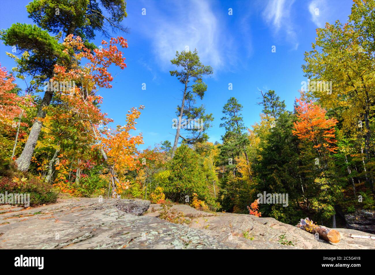 Autumn forest landscape at Porcupine Mountains Wilderness State Park in the Upper Peninsula of Michigan during peak fall colors. Stock Photo