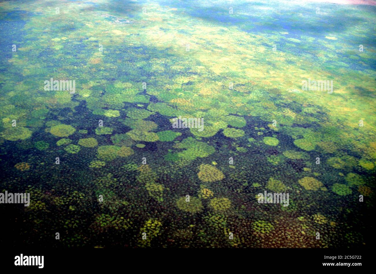 Wetlands in the Lochinvar National Park Zambia Stock Photo Alamy