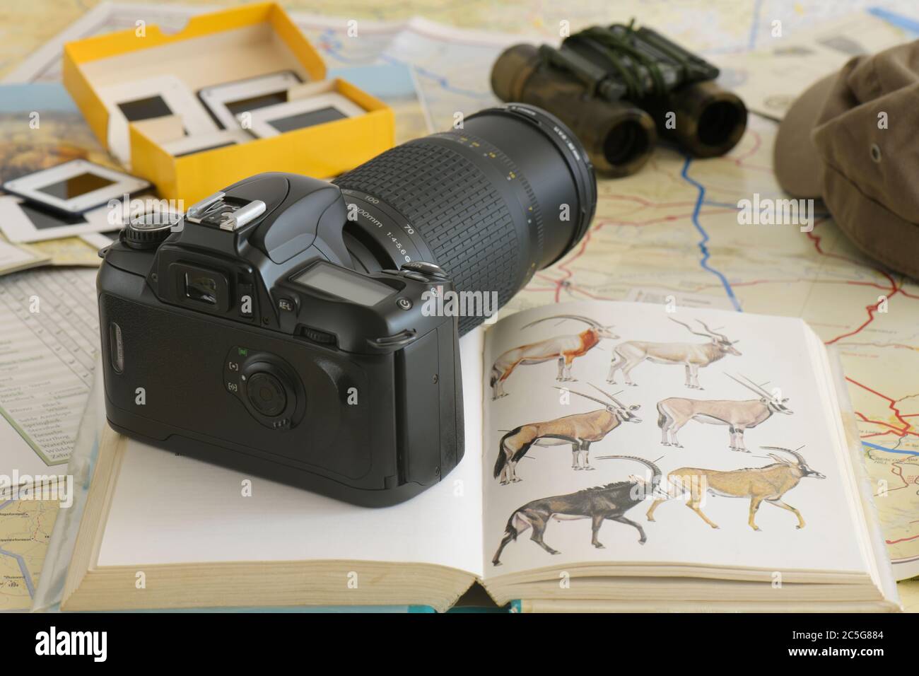 Safari adventure illustration, exploring, objects, binoculars, vintage 35 mm film camera, book, transparency slides, close up, map, animals, concept Stock Photo