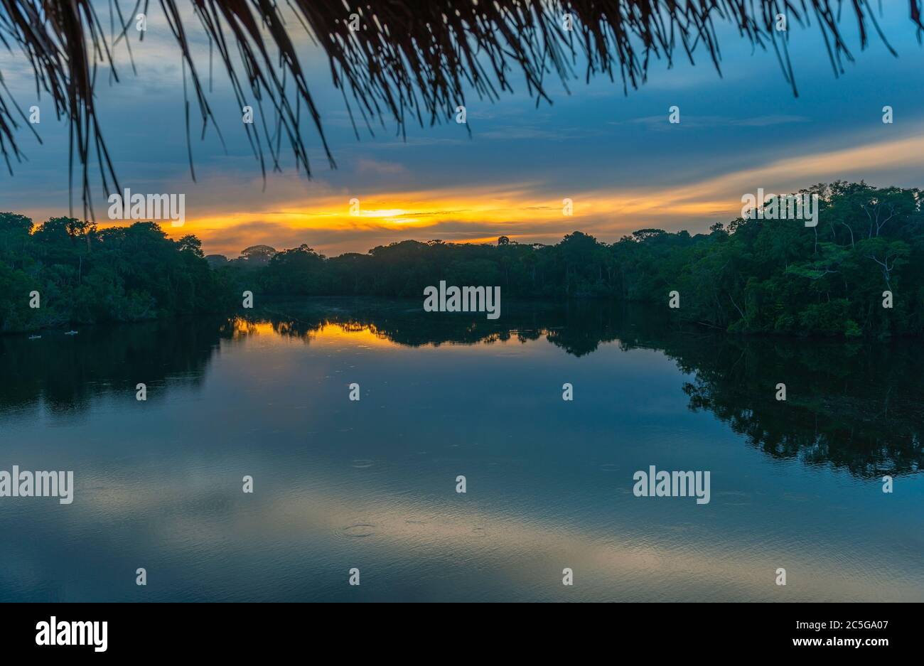 A magic sunrise in the Amazon Rainforest inside Yasuni national park, Ecuador. Stock Photo