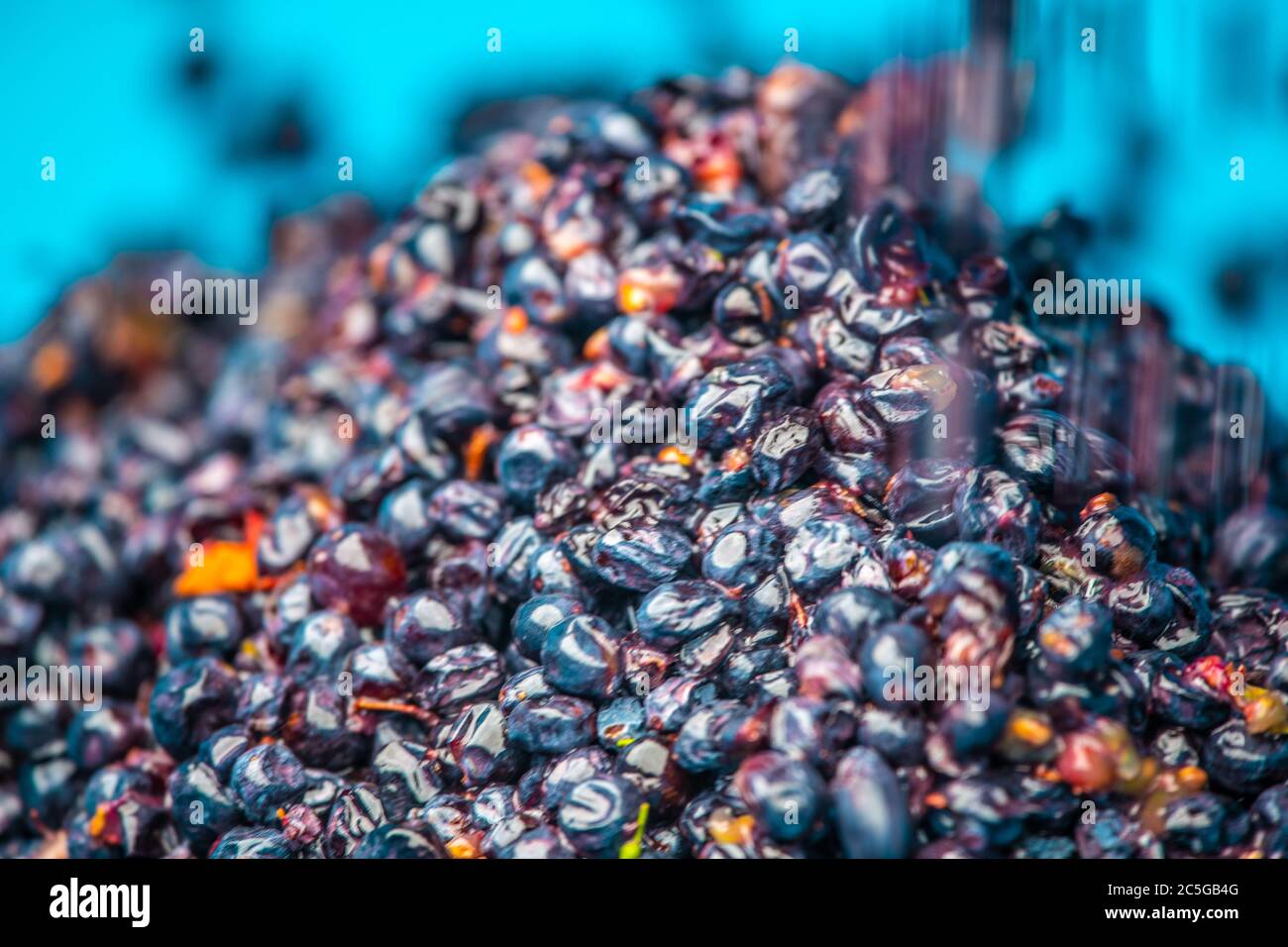 Grapes Being Processed at the Black Pearl Winery, Paarl, Western Cape, South Africa Stock Photo