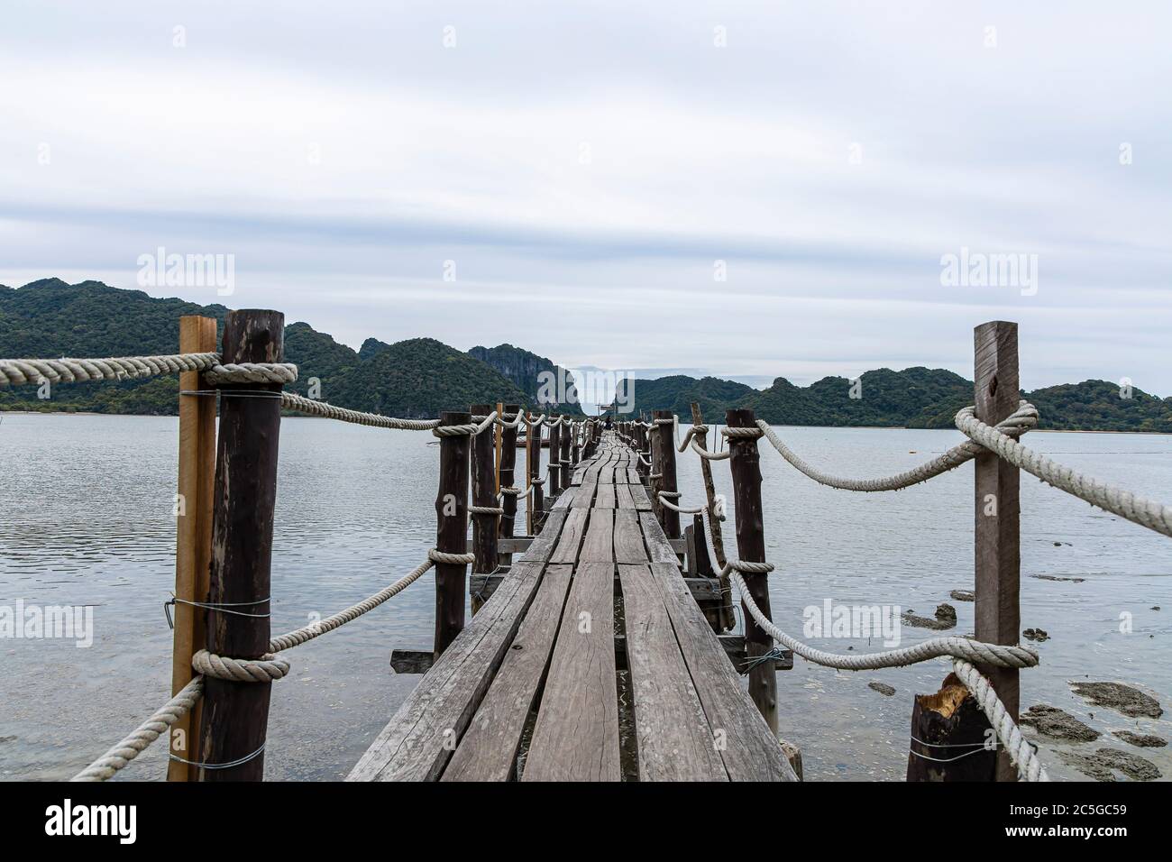 A long old wooden bridge rests in to the sea with tree. Stock Photo