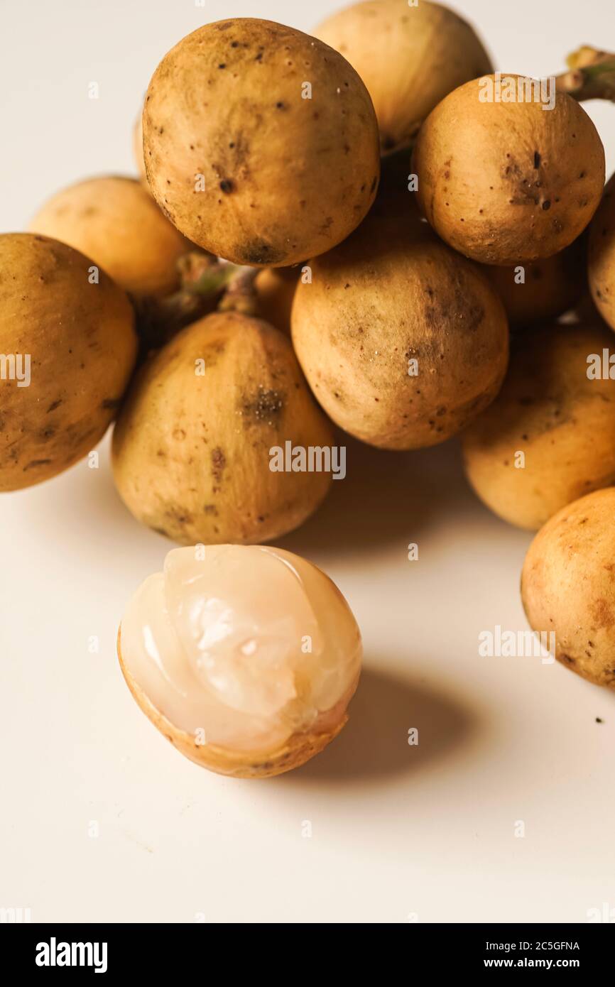 Lansium parasiticum, commonly known in English as langsat or lanzones, is a species of tree in