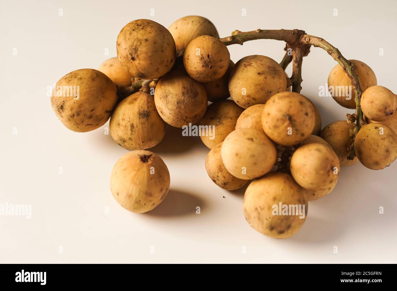 Lansium parasiticum, commonly known in English as langsat or lanzones, is a species of tree in