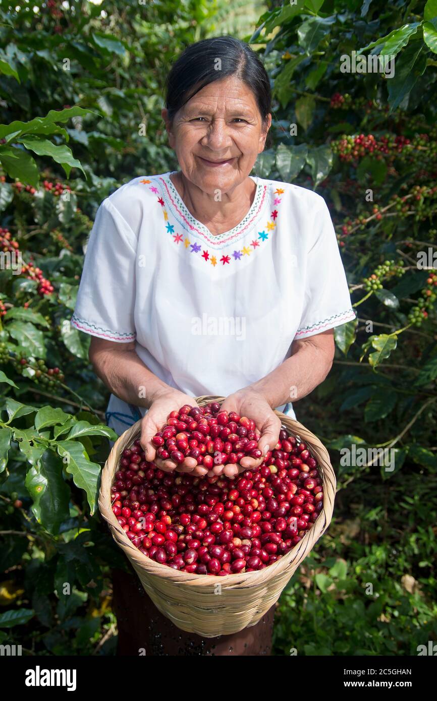 Lenca people hires stock photography and images Alamy