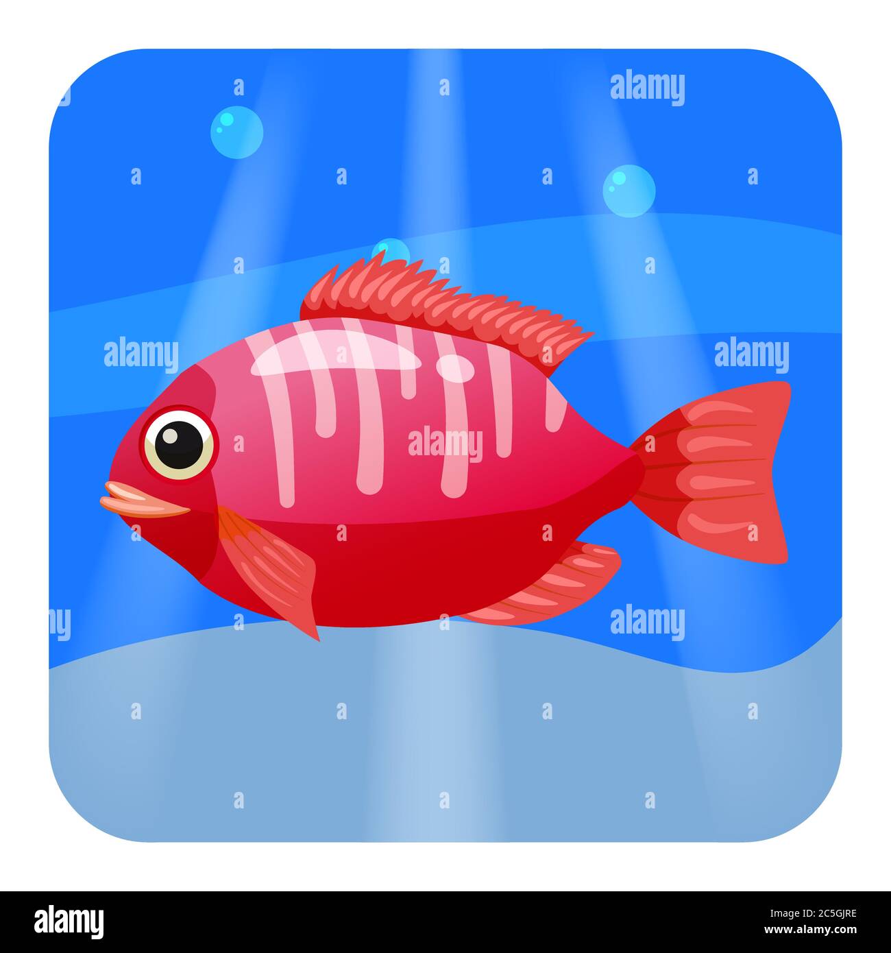 Cute beautiful red tropical fish, on sea background, ocean, vector,  isolated, cartoon style Stock Vector Image & Art - Alamy