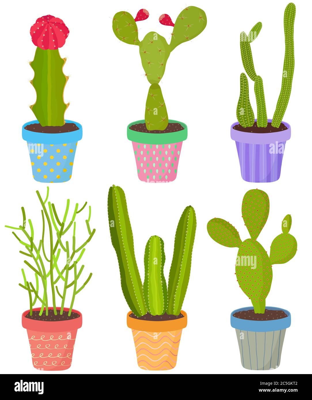 Vector set of cactus cacti aloe succulent plants in pot. Collection of flat styled hand drawn exotic houseplant. Cute illustration isolated on white. Stock Vector