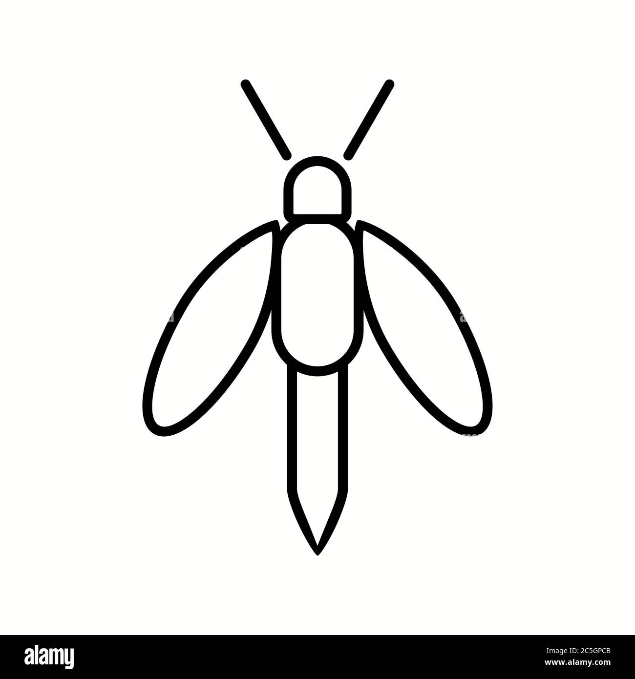 Unique Firefly Line Vector Icon Stock Vector Image & Art - Alamy