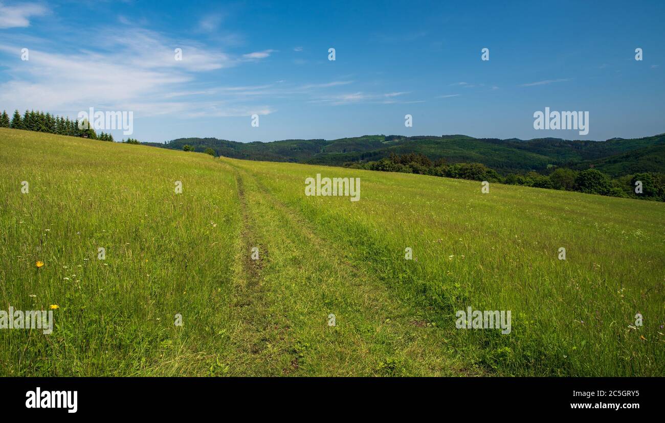 Beautiful Bile Karpaty mountains above Nedasova Lhota village in Czech republic with meadow, small forest on the right and hills on the background dur Stock Photo