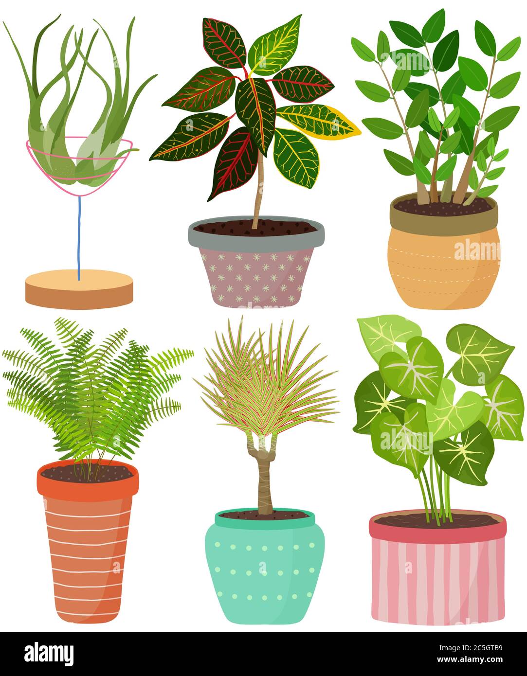 Vector set indoor house plant in pot. Tillandsia, Croton, Zanzibar Gem, Sword fern, Boston fern, DragonTree, Arrowhead vine. Collection of flat styled Stock Vector