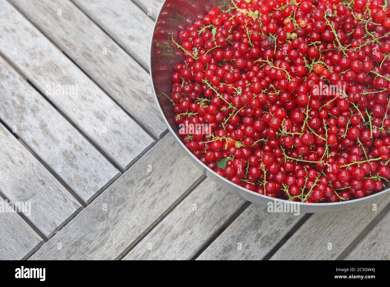 bowl of fresh harvested red currant berries on wooden table with copy space Stock Photo