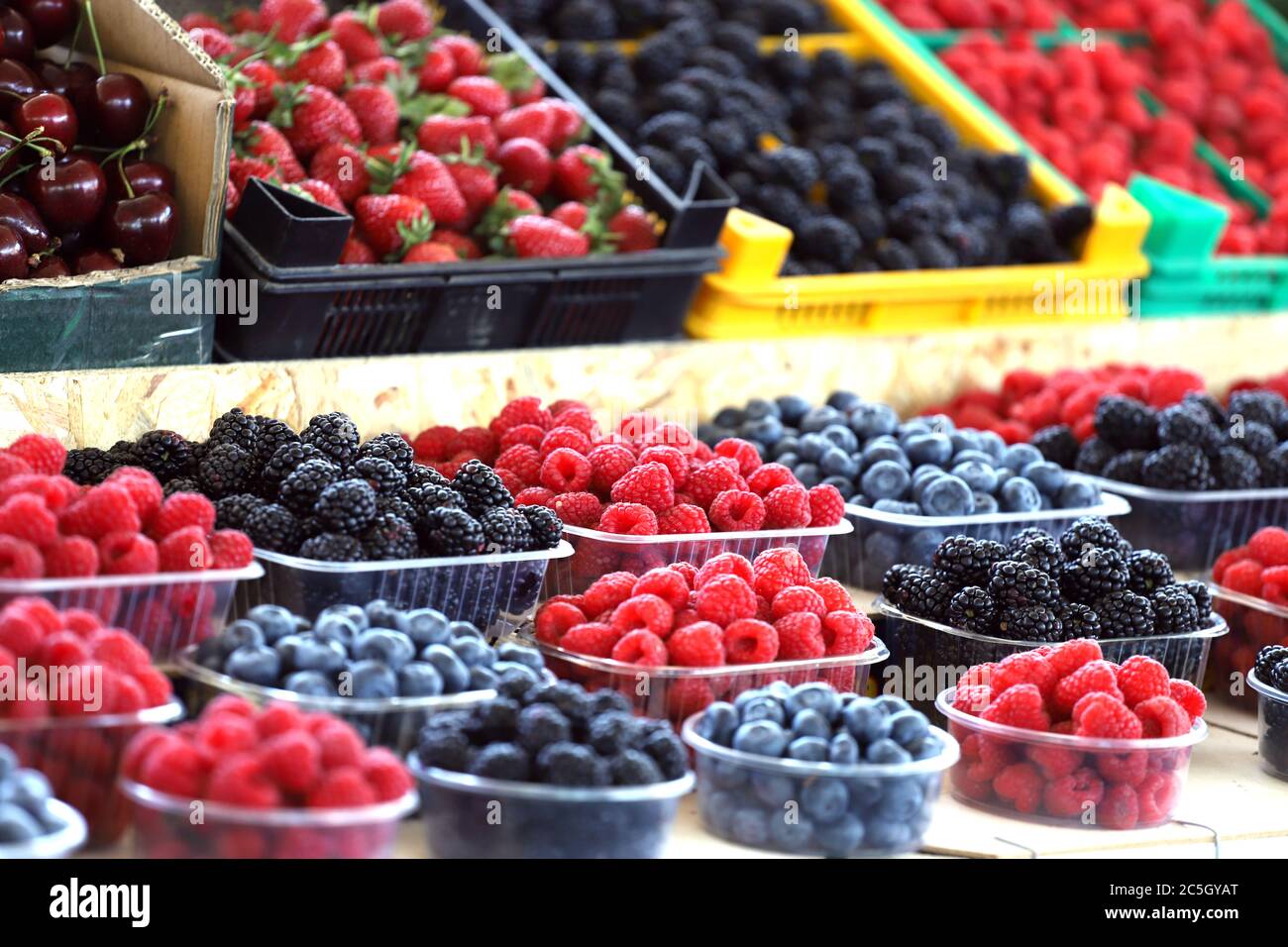 Raspberries, blueberries and blackberries on a market in plastic bowls. Fruits pattern. Stock Photo