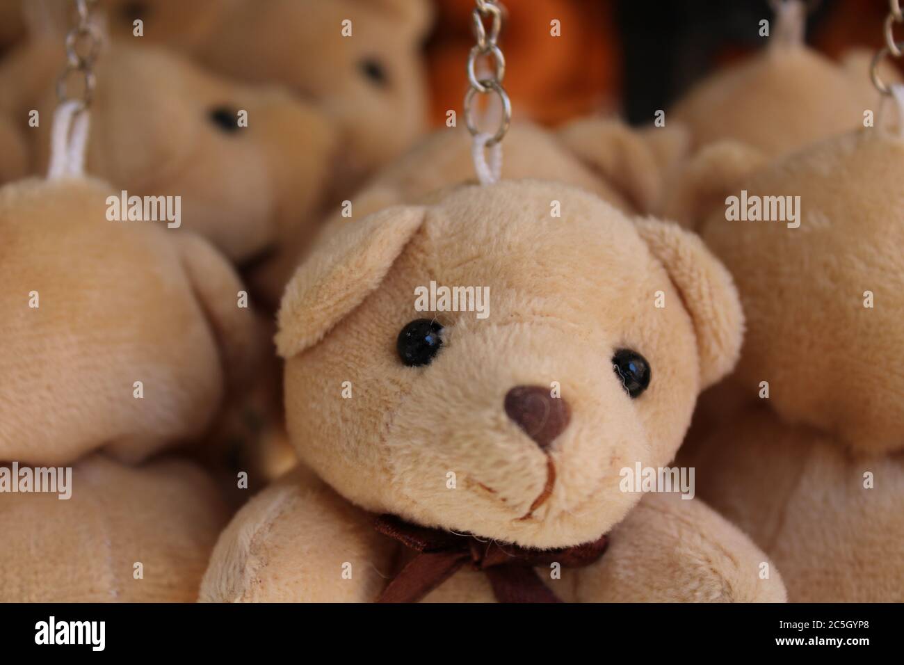 teddy bears children toys in different color teddy bears are favorite