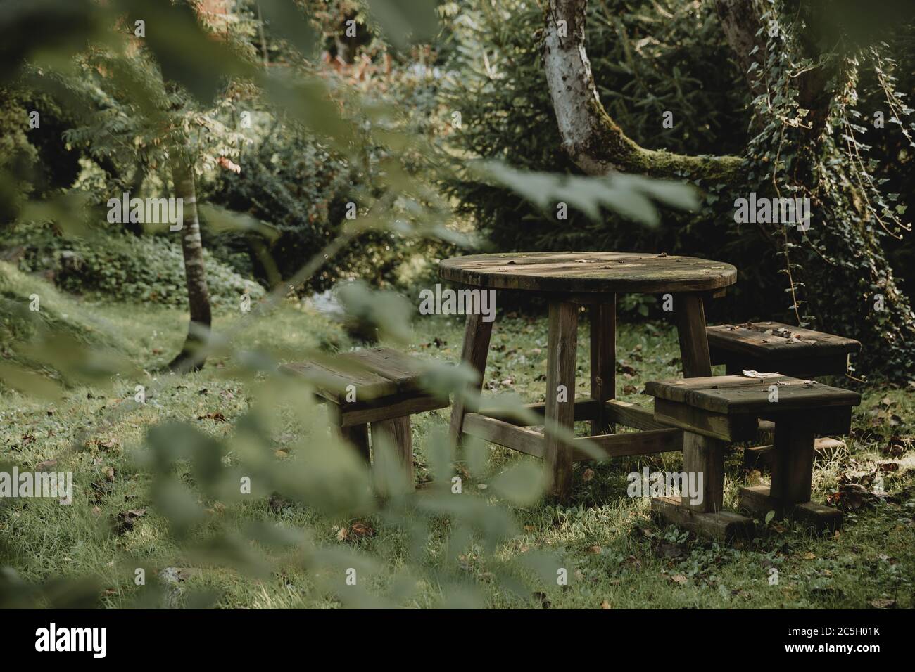 Old wooden garden furniture in the green tranquil garden with the zen