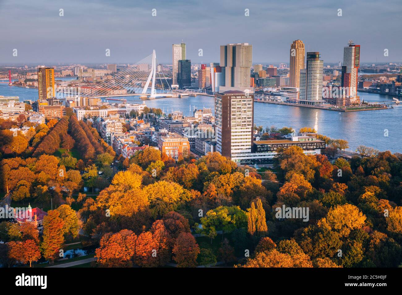 Aerial panorama of Rotterdam. Rotterdam, South Holland, Netherlands. Stock Photo