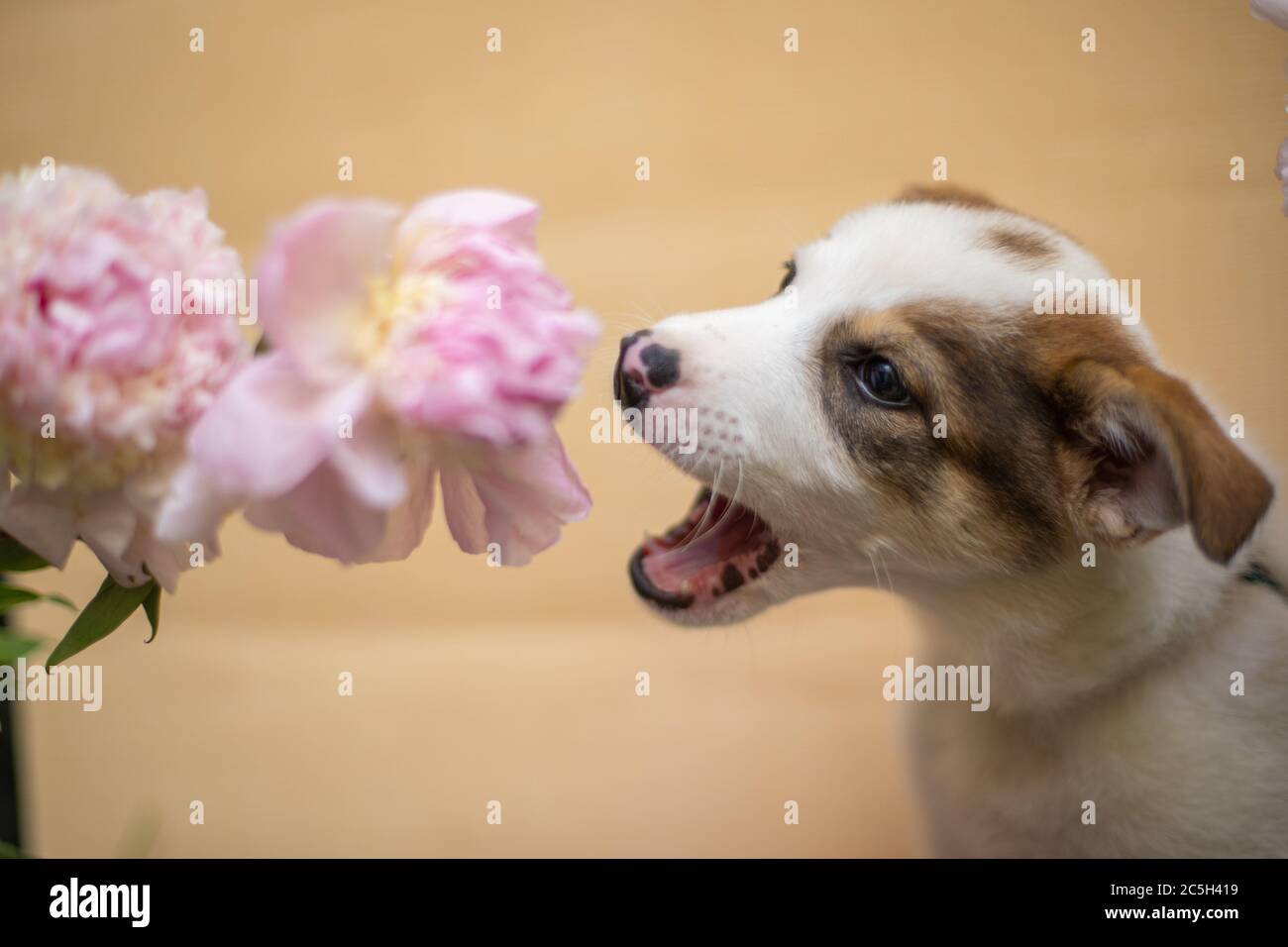 Winked hi-res stock photography and images - Page 3 - Alamy
