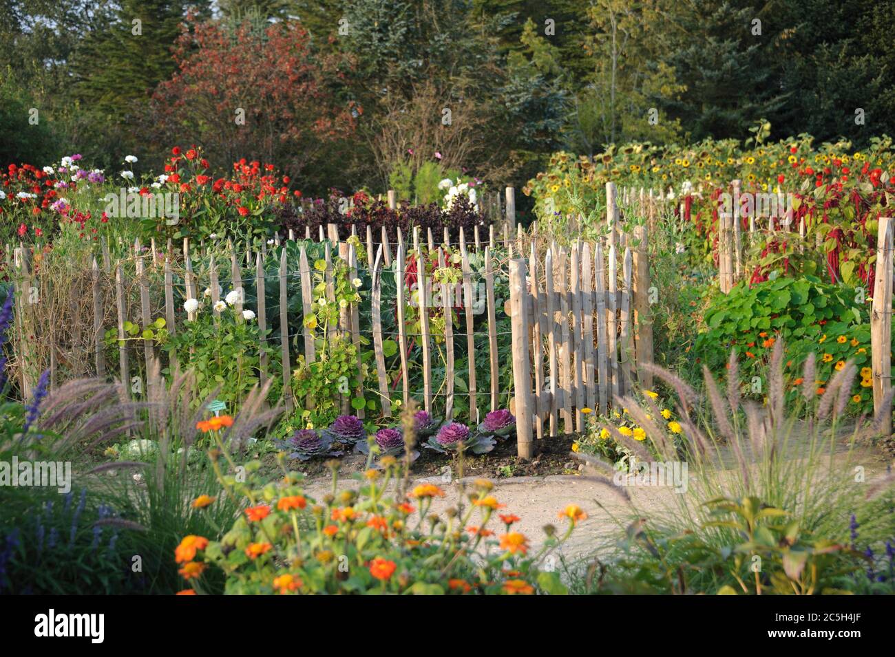 Gartenzaun High Resolution Stock Photography And Images Alamy