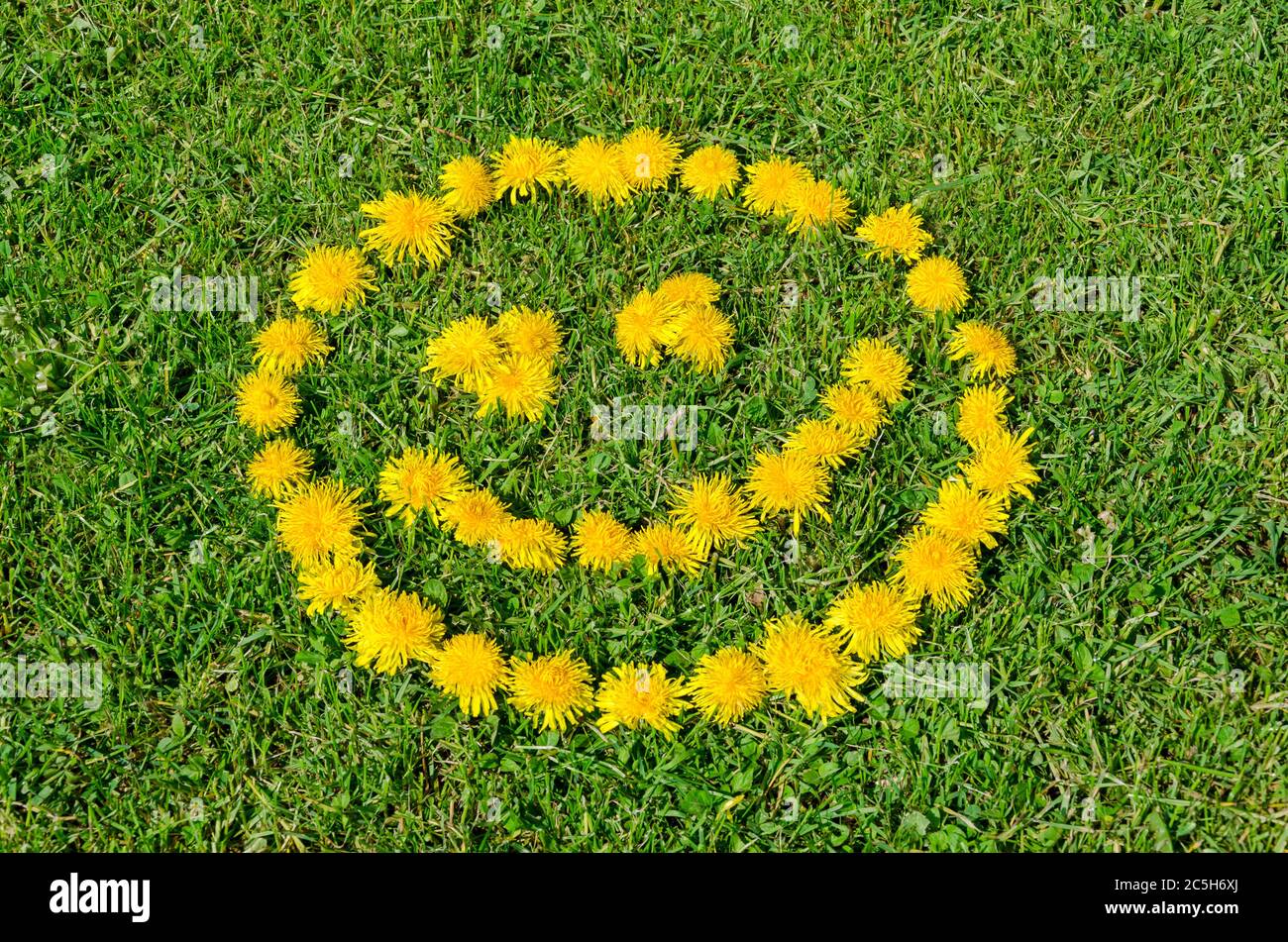 Smiling face made of dandelion flowers on a grass meadow Stock Photo