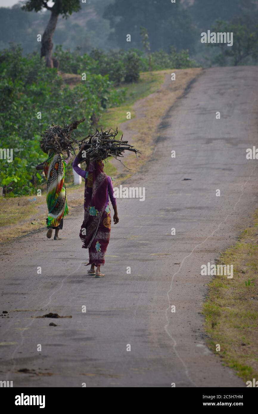 indian women carrying wood branchs on their heads. Indian girl carrying wood on head at the road, An Indian rural scene. Stock Photo