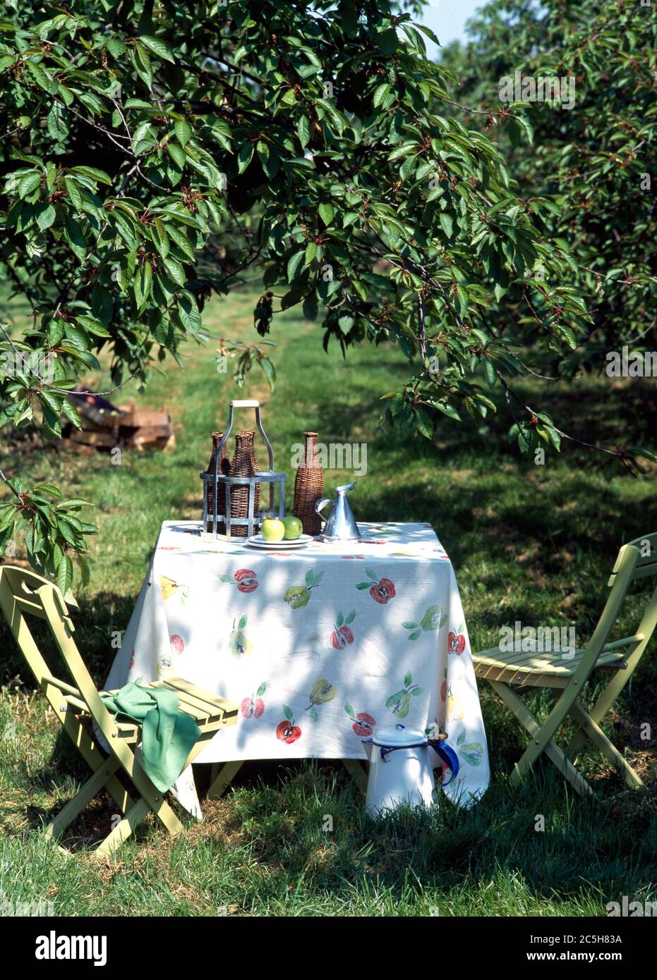 Table and chairs for alfresco eating under fruit trees in orchard Stock Photo