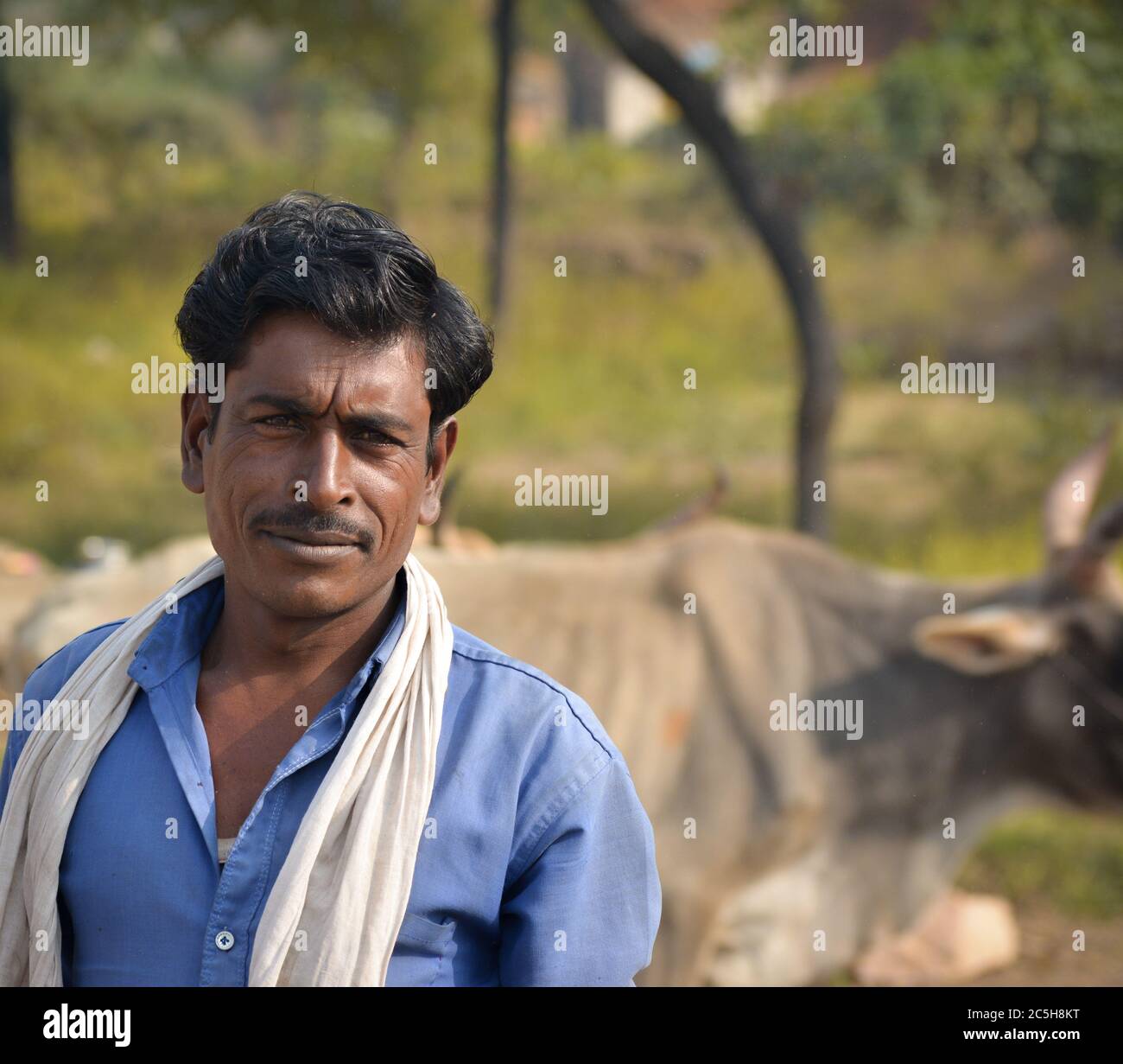 Handsome indian adult man hi-res stock photography and images - Alamy