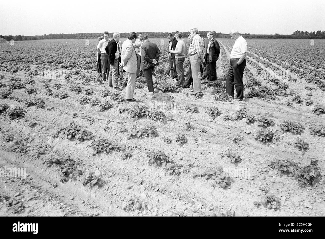 30 November 1984, Saxony, Hohenprießnitz: Field visit to the Cooperative Department of Plant Production (KAP) Hohenprießnitz (near Eilenburg) in mid-1985 The KAP combined the field farming of several LPG or VEG (Volkseigene Güter) in the GDR. Exact date of recording not known. Photo: Volkmar Heinz/dpa-Zentralbild/ZB Stock Photo