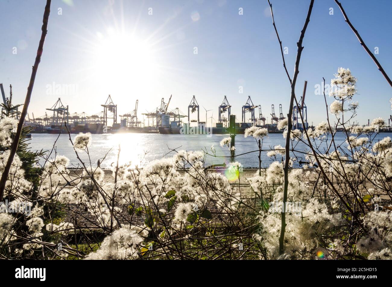 Sun above scenic harbor area with flowers in the foreground and port facilities in the background in Hamburg, Germany Stock Photo