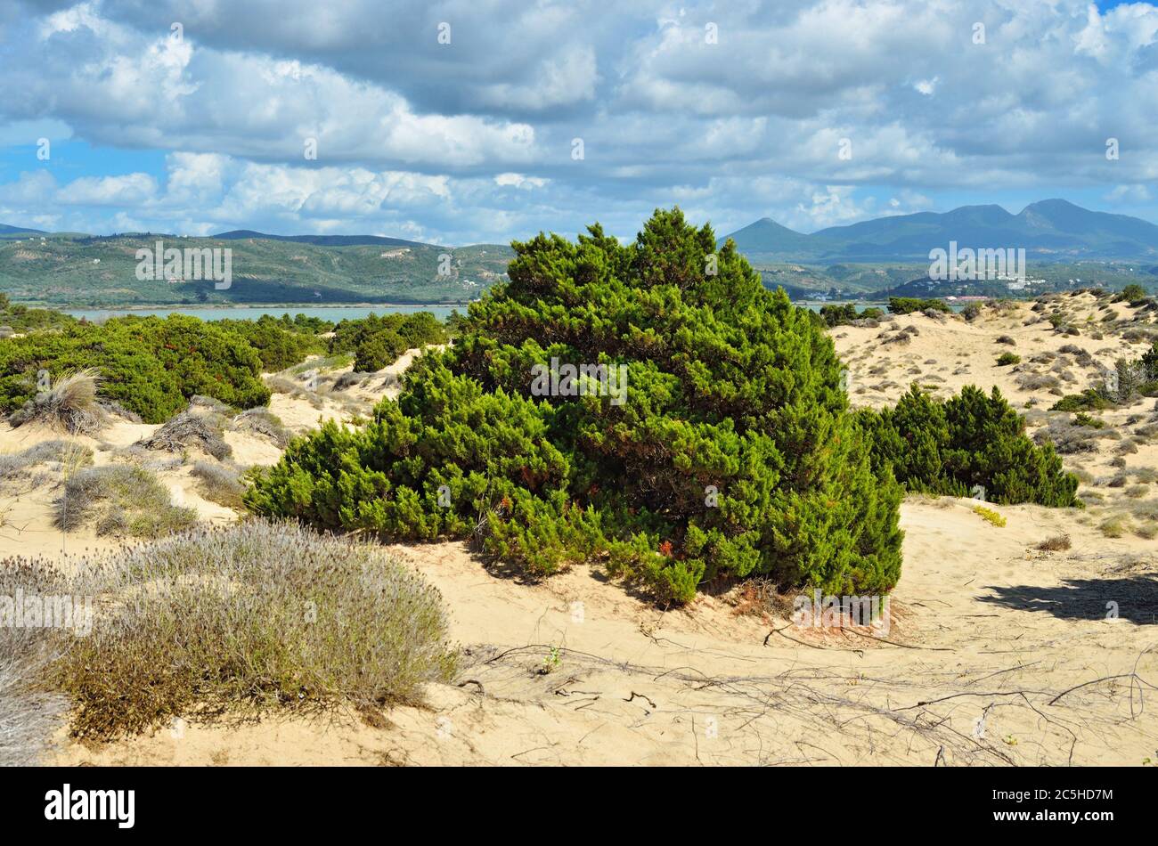 Dune of Gialova and beautiful lagoon of Voidokilia, Messenia, Greece Stock Photo
