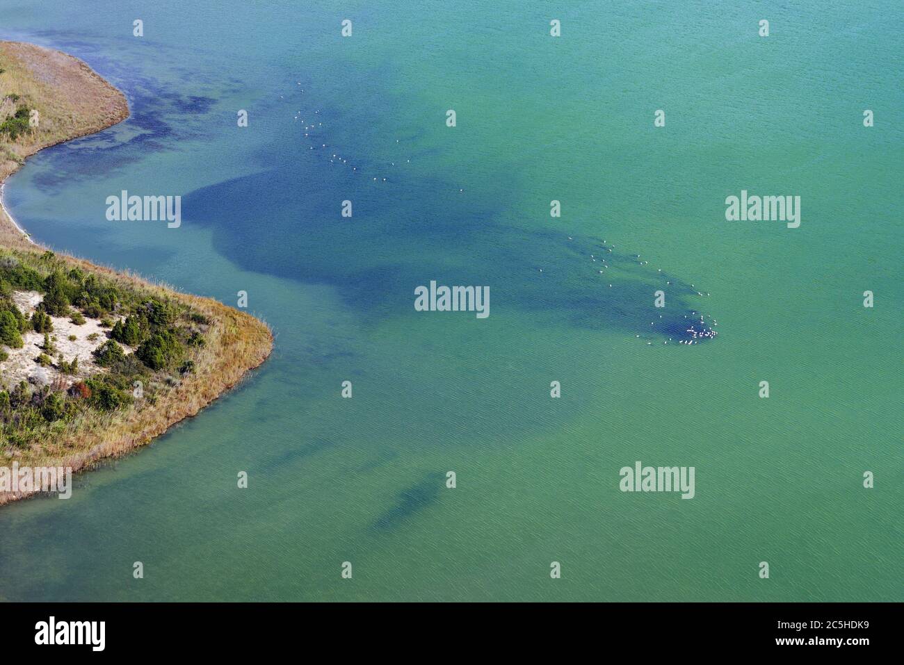 View on Gialova lagoon, coast and flock of birds from above. Greece Stock Photo