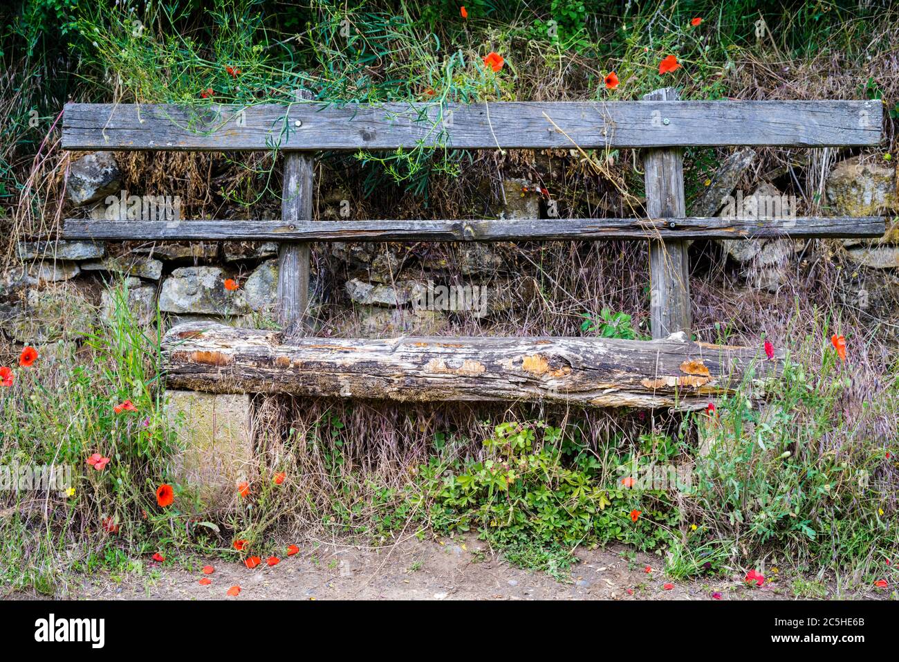 Wooden bench along a hiking trail Stock Photo