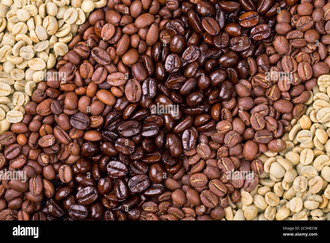 A selection of fresh roasted and unroasted coffee beans arranged in a diagonal stripe pattern