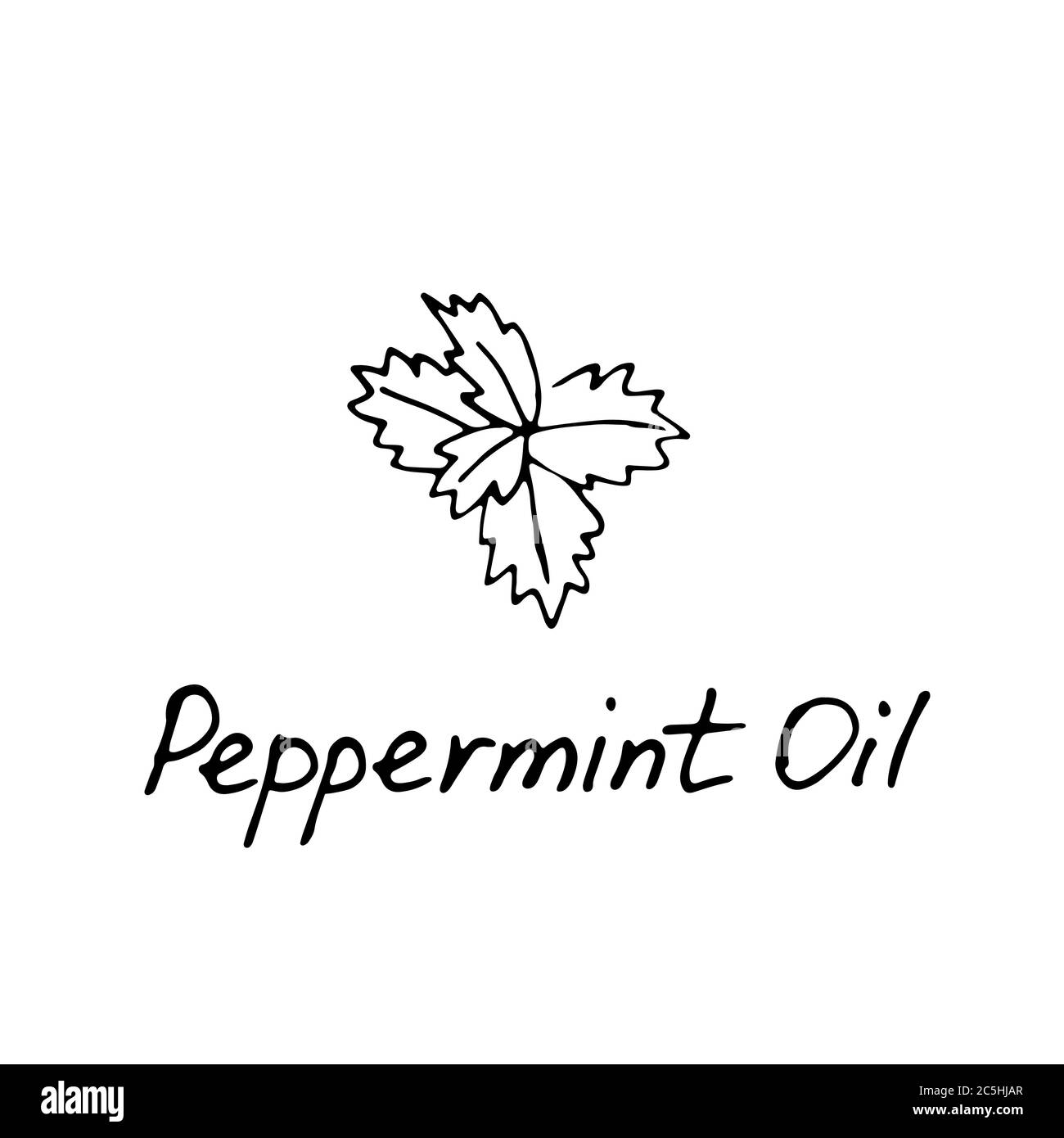 Mint green vector illustration. Hand drawn peppermint logo. Peppermint ...