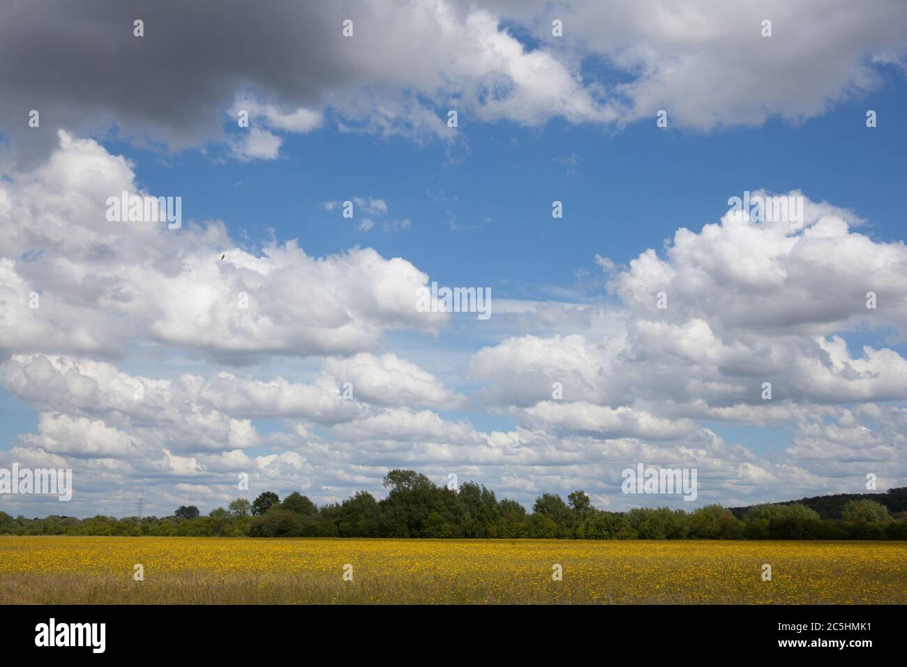 Views of the West Oxfordshire countryside at Eynsham in Oxfordshire in the UK Stock Photo