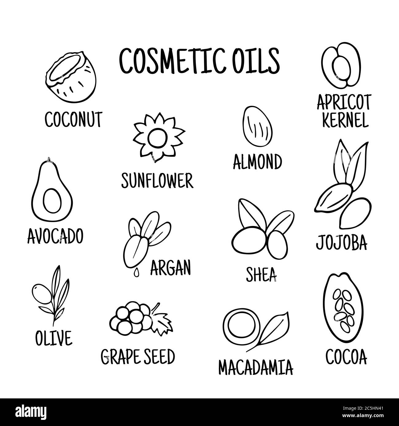 Cosmetic oils. Nuts from which squeeze oils. Nourishing oils for skin beauty. Vector icons Stock Vector