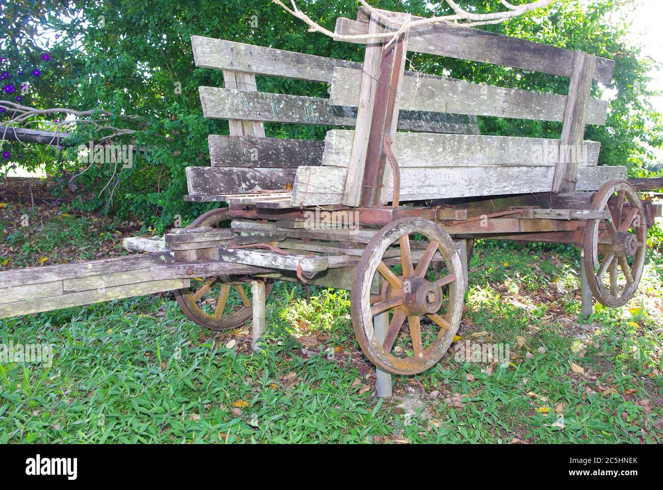Vintage 1880s German Wagon at Witta Maleny Queensland Australia Stock Photo