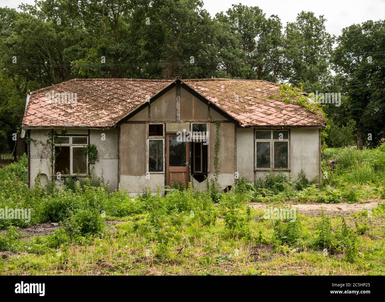 Derelict bungalow in Norfolk with broken windows and in the state of disrepair Stock Photo