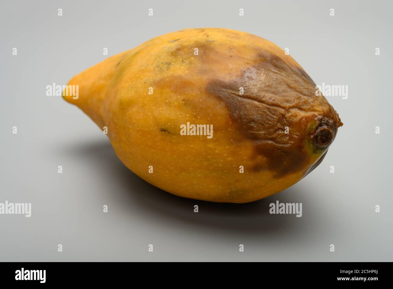 Yellow Rotten Mango Fruit Isolated on White Stock Photo - Image of object,  damaged: 81460752