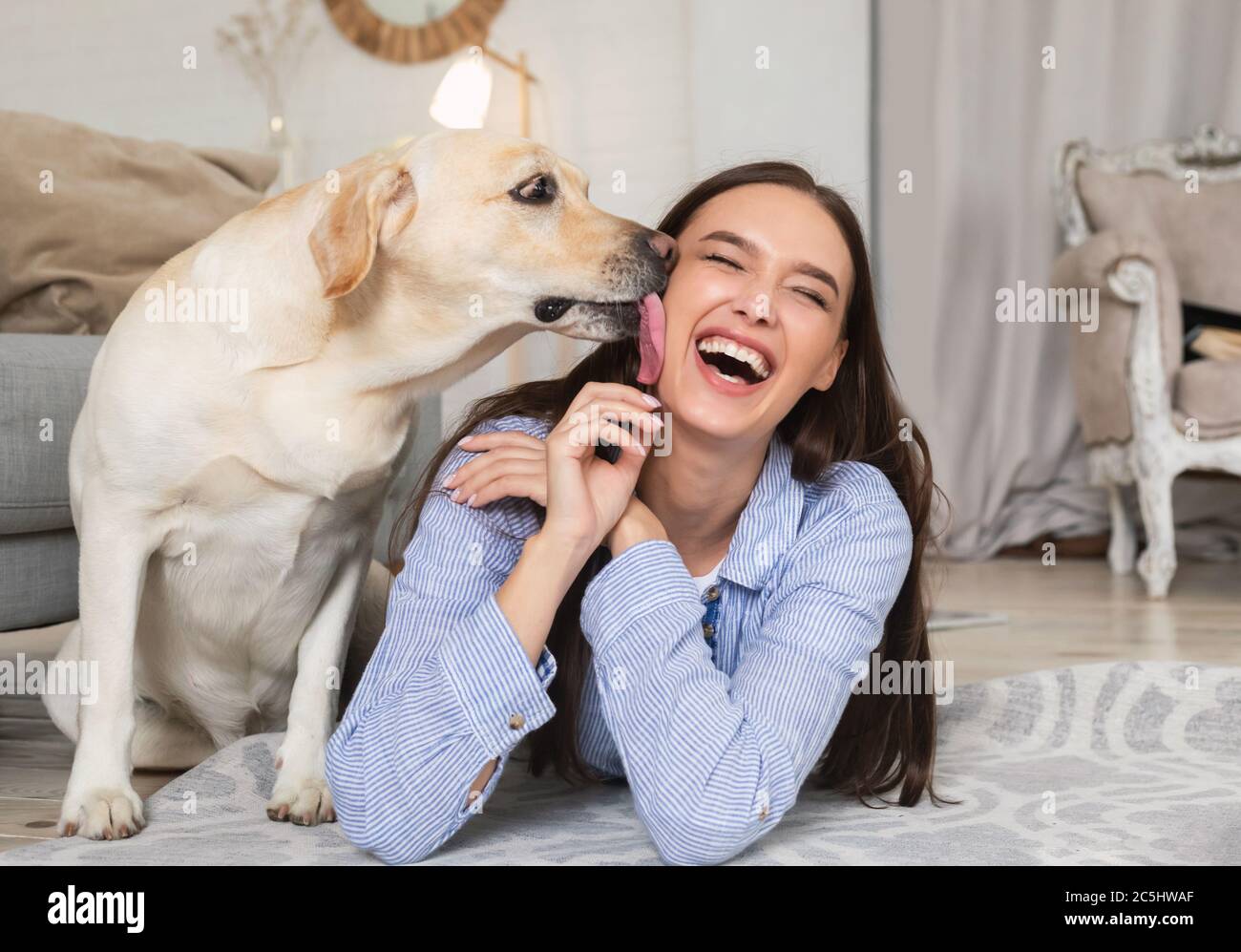 Do Dogs Lick Your Face To Show Affection